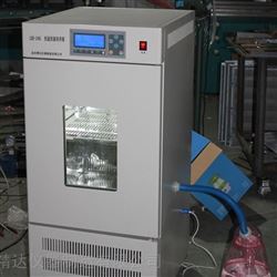 MJX-100A智能霉菌培养箱