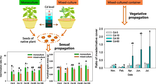 2AF6D6EBFB9A351BAC11683D7DD_4FAF0231_8EB77.png 2AF6D6EBFB9A351BAC11683D7DD_4FAF0231_8EB77.png